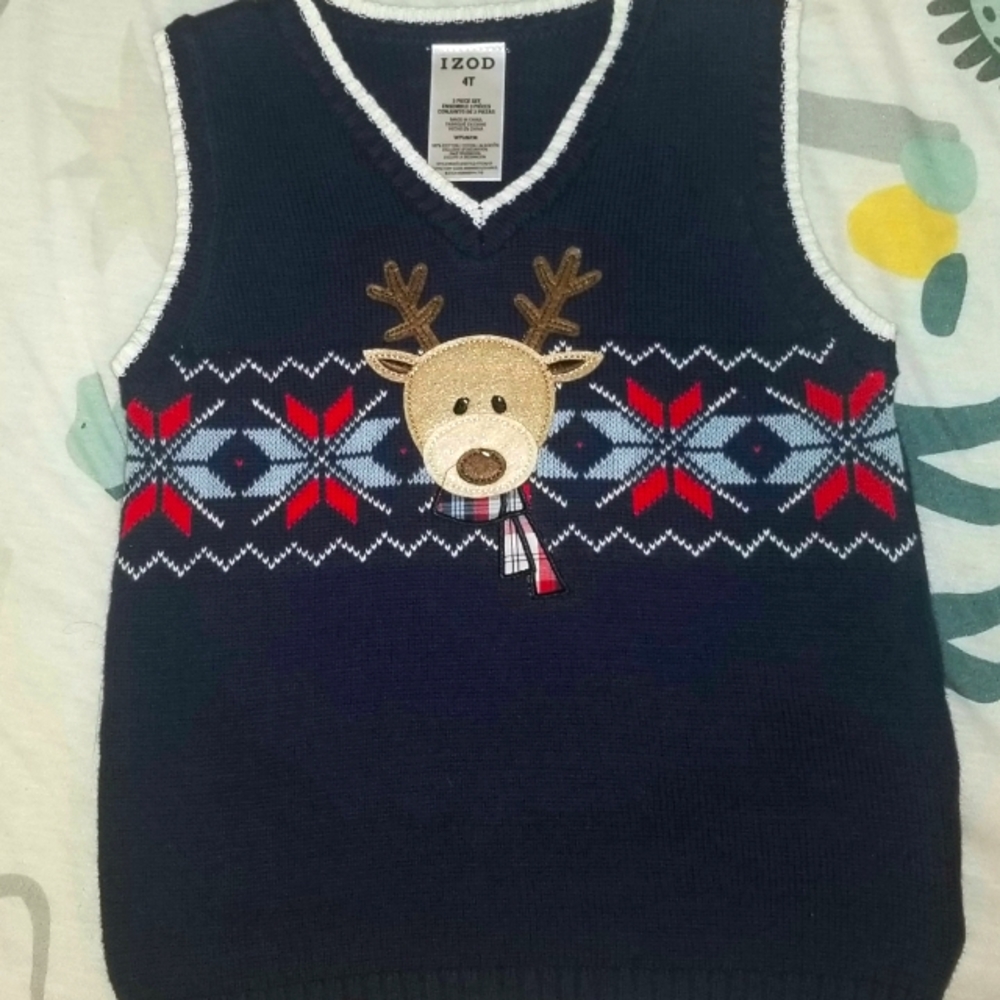 Christmas vest